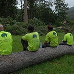 A Accurate Tree Services - Pic 9