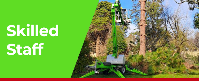 Phil's Tree Service - Promotion 2
