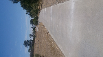 Bendigo Mini Cretes - Pic 7