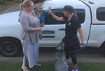 Pets Get Physical - Pic 3