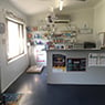 Westlakes Veterinary Hospital - Pic 4