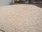 20mm Cream Pebbles