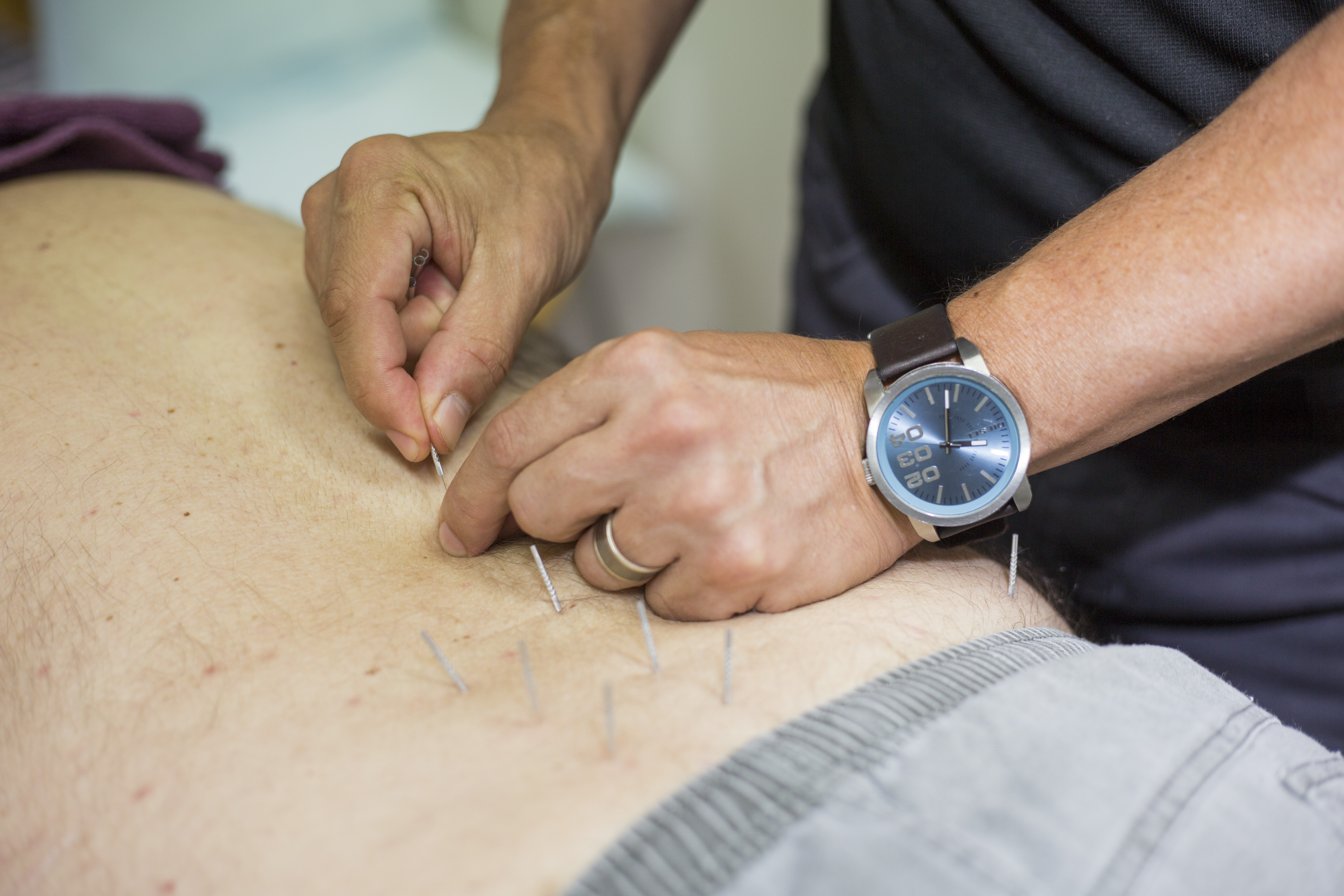 physio 9 0 Physioex 90 lab 2 - download as pdf file (pdf), text file (txt) or read online. physio 9 0 Physioex 90 lab 2 - download as pdf file (pdf), text file (txt) or read online.