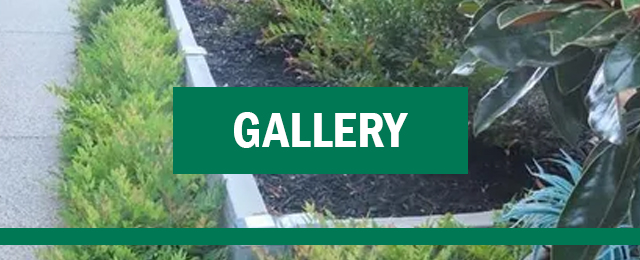 Ian Kelly Landscape Contractor - Promotion 3