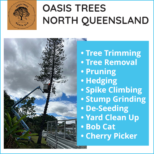 OASIS TREES NORTH QUEENSLAND - Promotion