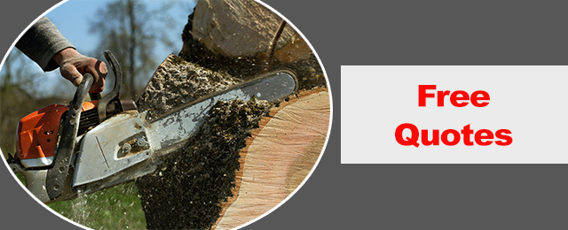 Dave's Tree Lopping & All Green Waste Removals - Promotion 2