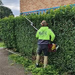 D&L Indoor Plant Hire & Garden Maintenance Pty Ltd - Pic 5