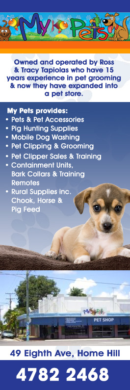 rural king dog clippers
