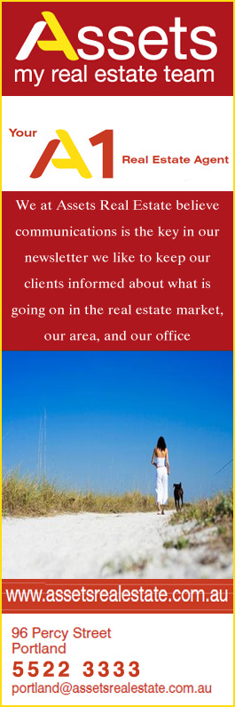 Assets My Real Estate Team - Promotion