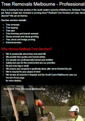 Why Choose Redback Tree Services