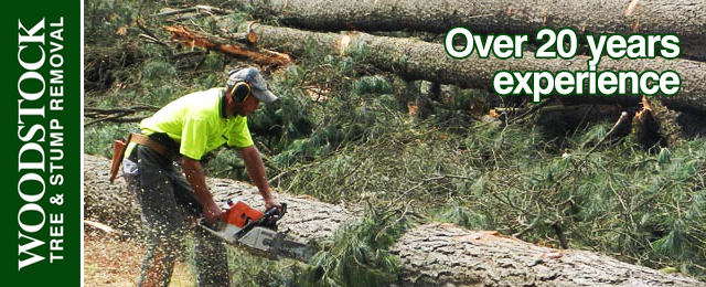 Woodstock Tree & Stump Removal - Promotion 2