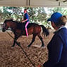 Gooromon Park Horse Riding Centre - Pic 6