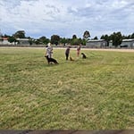 Lana's Dog Training - Pic 7