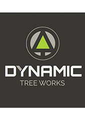 PROFESSIONAL ARBORIST SERVICES