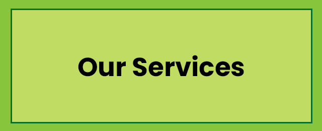 Budget Lawns Plus - Promotion 3