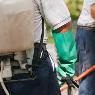 South Gippsland Pest Control - Pic 4
