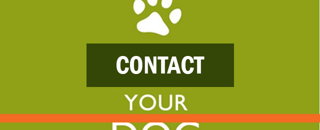Foxy's Mobile Dog Wash And Grooming Services - Promotion 1