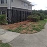 Champion Property Services - Pic 5