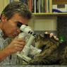 Veterinary Ophthalmic Referrals - Pic 6