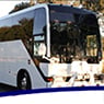 Penrith Mini Bus Services - Pic 9
