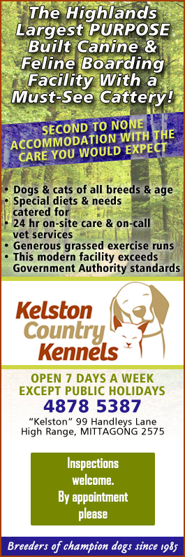 kelston kennels