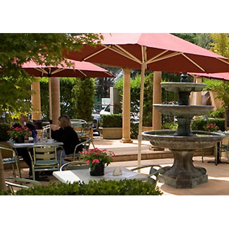 Rodney's Nursery And Garden Centre - Garden Nurseries - 24 Beltana Rd