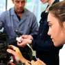 The Apprenticeship Factory - Pic 2
