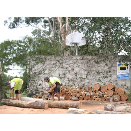 Arbor Life Tree Services - Tree & Stump Removal Services - Toowoomba