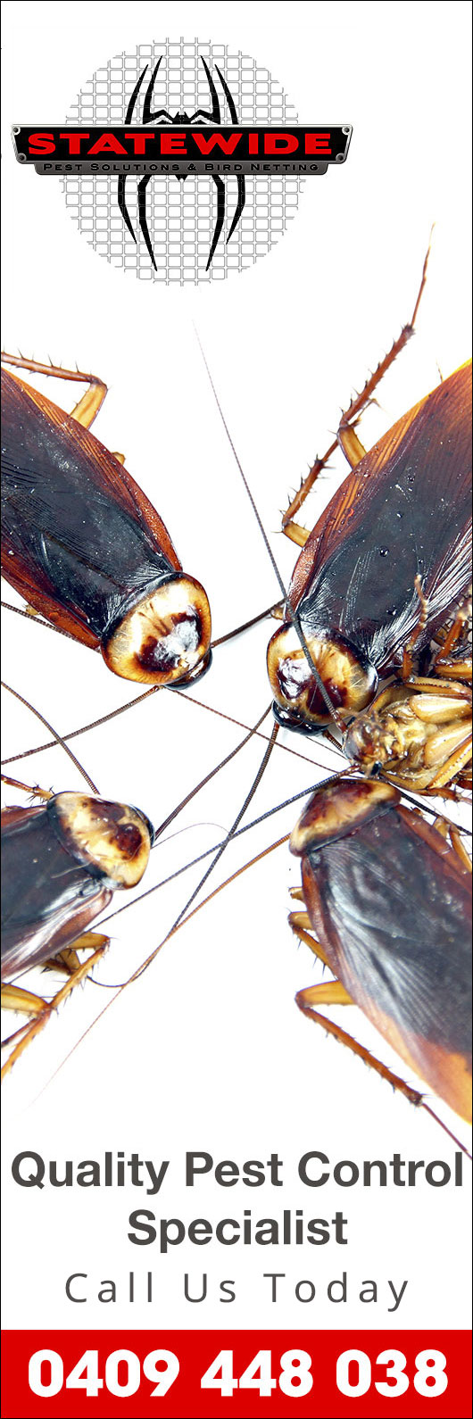 Statewide Pest Solutions & Bird Netting - Promotion