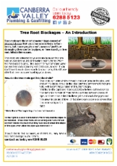 Introducing Tree Root Blockages