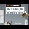 Interior Colours