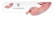 Macleay Valley Rabbits - logo
