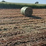 Darran Edwards Seed Cleaning & Contract Haymaking - Pic 1