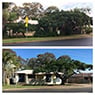 Active Tree Fellas - Pic 5