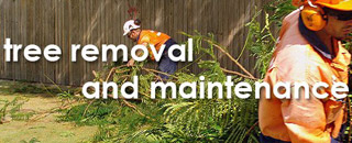 A-Local Tree Services - Promotion 1