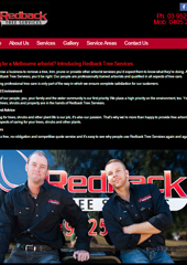 Looking For A Melbourne Arborist