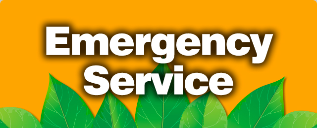 Bills Tree Services - Promotion 3