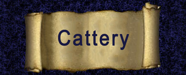 Canterbury Tails Boutique Boarding Cattery - Promotion 2