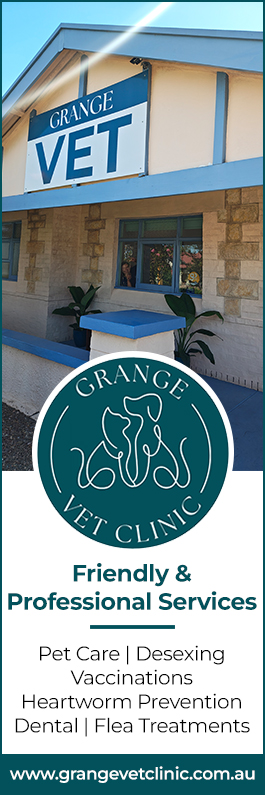 Grange Veterinary Clinic - Promotion