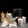 Divinity Cremations Services - Pic 4