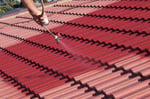 Roof Painting