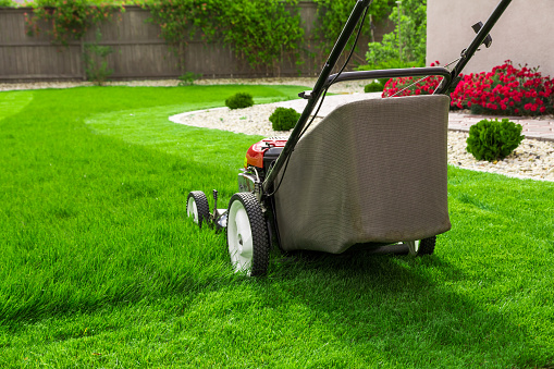 lawn mowing images