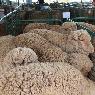 Moses & Son Wool Brokers - Pic 4