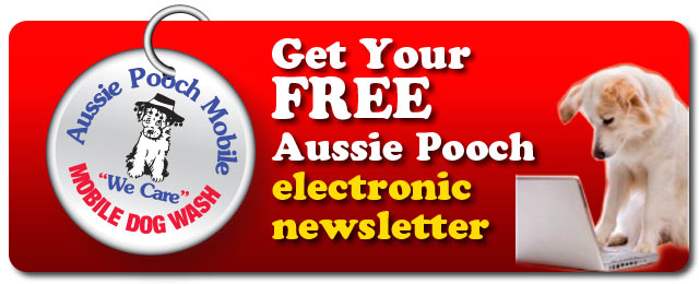 aussie pooch mobile Aussie pooch mobile dog wash australia, burpengary, queensland 13k likes wwwaussiepoochmobilecomau your local aussie pooch operator will wash. aussie pooch mobile Aussie pooch mobile dog wash australia, burpengary, queensland 13k likes wwwaussiepoochmobilecomau your local aussie pooch operator will wash.