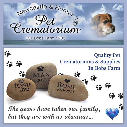 purina prescription dog food