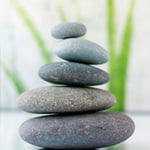 Nepean Chiropractic Centre - Pic 2