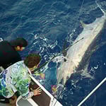 All The Gear No Idea Sportfishing - Pic 3