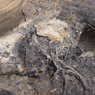 Express Plumbing Solutions - Pic 10