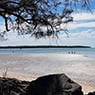 Burrum District Realty - Pic 7