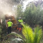 Branching Out Tree Care - Pic 4